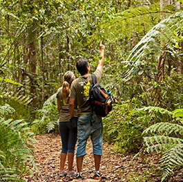 Escapadas ≤ 9 Dìas