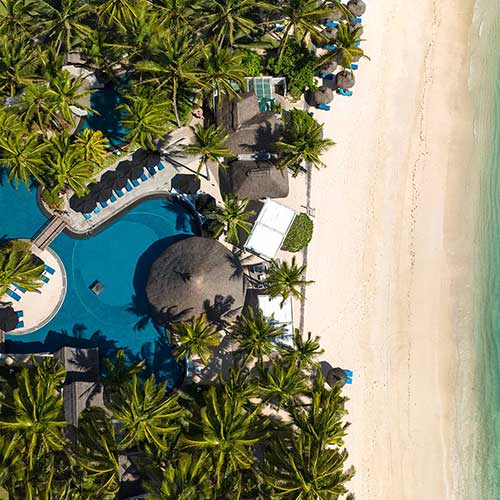 CONSTANCE BELLE MARE*****