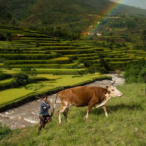 DE LA SELVA AL CANAL DE MOZAMBIQUE
