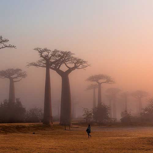 EXPEDICIÓN REMOTE RIVER